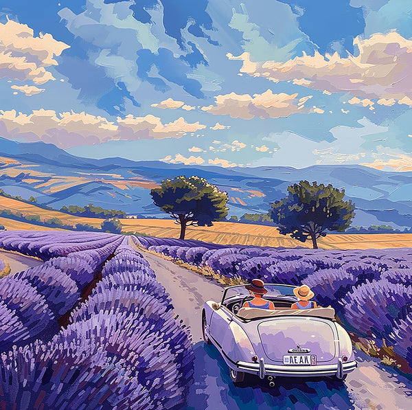 Collines de lavande